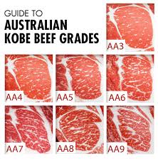 How The Kobe Beef Grading System Works Marx Foods Blog