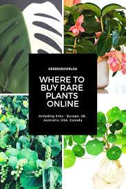 Garden flowers for sale canada. I Pinimg Com 736x 4c C2 D5 4cc2d532a1bf1956f902