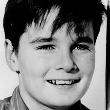 Watch Safe at Home! (1962) Full Movie Online