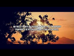 Dacă avem o frază cu mai multe propoziţii principale coordonate copulativ prin şi, atunci nu se pune virgulă. Yenic Spiridus Lyrics Video Golectures Online Lectures