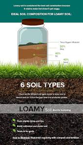 The addition of compost (or other organic matter) will improve your soil which in turns, helps whatever is growing there. Why Is My Lawn Dying How To Test And Amend Your Soil