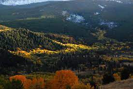Consultez les 729 avis de voyageurs, 236 photos, et les meilleures offres pour seven gables inn, classé n°13 sur 137 hôtels à branson et noté. 7 Gables Resort Updated 2021 Hotel Reviews Montana Anaconda Tripadvisor