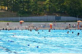 Check spelling or type a new query. Lasker Pool In Central Park