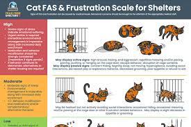 With the fear free certification program at its core, fear free is committed to providing our professionals with current, relevant and ground breaking education. Fear Free Shelter Program Educational Resources