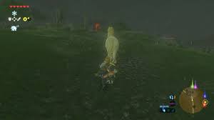 Botw: How High Can You Raise Link'S Stamina