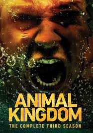 Animal Kingdom: The Complete Third Season: Amazon.co.uk: Gordon, Molly,  Alonso, Daniella, Barkin, Ellen, Speedman, Scott, Hatosy, Shawn, Robson,  Ben, Weary, Jake, Cole, Finn, Wroe, Ellen, Lisco, Jonathan: DVD & Blu-ray