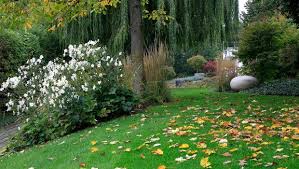 Auch auf der fensterbank traut sich aufgrund. Diese 10 Tipps Bringen Den Garten Sicher Durch Den Winter In Garten Ratgeber Diybook De