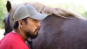 NC State College of Veterinary Medicine & Veterinary Hospital