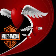 Harley Valentine Harley Davidson Harley Davidson Quotes Harley Davidson Pictures