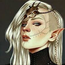 Taylor Jansen (taylorjansen219)