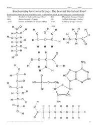 Biochemistry Functional Groups Activity For High School Biology Functional Group High School Biology Group Activities