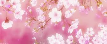 Https Encrypted Tbn0 Gstatic Com Images Q Tbn And9gcsqrodu39zufjcrjrknq0kandadk3o4zw8vtq Usqp Cau