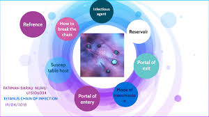 Tetanus Chain Of Infection By Fatimah Barau Nuhu On Prezi Next