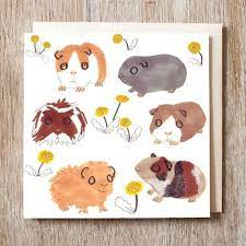 Pin On Guinea Piggies