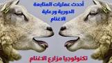 Nasr Vet