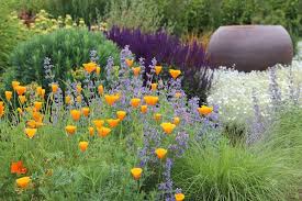 Beach Style Landscape By Bliss Garden Design With Images Coastal Gardens Colorful Garden Garden