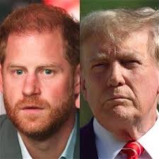 Dorothy Broadhead Cook