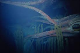 In 1988, coktel vision publishes 20,000 leagues under the sea on dos. Disney S Abandoned 2000s Leagues Under The Sea Submarine Ride 9gag