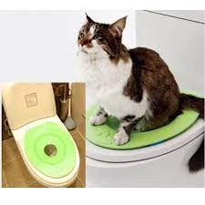 amazon com cat kit kitty pet toilet seat training system pet supplies zhivotnye