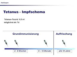 Impfungen Im Erwachsenenalter Ppt Herunterladen