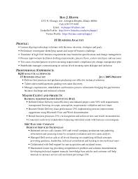 Roy Hoppe It Business Analyst Resume 60601
