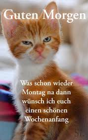 Pin Auf Montag