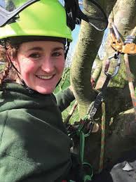 FORESTRY & TIMBER NEWS