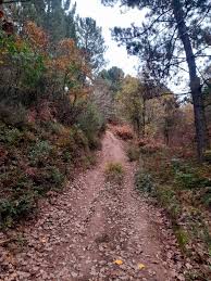 Bir çok alanda ufak kafe tarzı alanlar yapılmış. Wikiloc Aydos Ormani Nda Doga Yuruyusu Ring 11km Trail