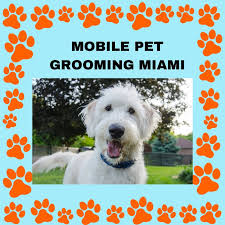 Pet grooming, mobile grooming, pet supplies, flea and tick treatment, pet boarding, miami, kendall, doral. Mobile Pet Grooming Miami Home Facebook