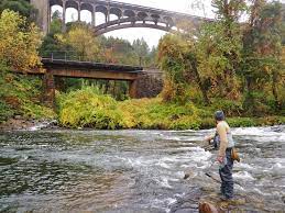 It just so happens that rainbows that inhabit the river are football shaped and. 17 Best Fly Fishing Rivers In California Top Trout And Steelhead Streams Best Fishing In America