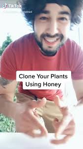 Repost due to popular demand 🙌🌱 #garden #trick #tips #gardening #organic  #honey #foryou #fyp #planttips #learnfromme #alwayslearning #diy #magic