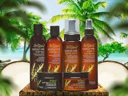 Some of the ingredients are usually sourced from places that will give the hair products some form of distinctiveness. Coconut Milk Product Line Guide With Influance Hair Care Educator Fawnne Smith Influance Hair Care