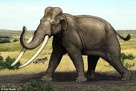 Check spelling or type a new query. Palaeoloxodon Additional Creatures Wiki Fandom