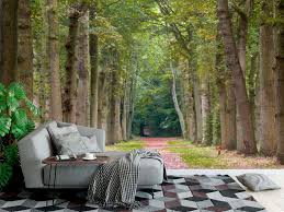 See beech engineering's products and customers. Wallpaper Mural Old Oak And Beech Trees Lane