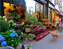 Image result for flower shop pictures