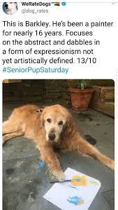 Pin By Star Night On Dogs Dog Rates We Rate Dogs Cute Funny Animals