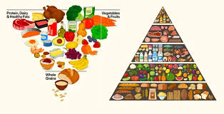 Image result for Nutrition Guidelines