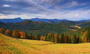 Paesaggio di un campo in. Sfondi Transcarpazia Ucraina Natura Autunno Montagne Foreste Il