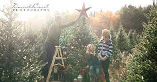 Pin By Tonette B On Fun Photo Session Ideas And Poses Christmas Photoshoot Christmas Photography Christmas Tree Farm Photos
