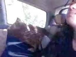 free arab car fuck porn pornkai com