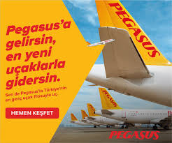 Aleyna Tilkiden THY Ve Hosteslerine Tepki — Son Dakika Havacılık Haberleri  | Türk Hava Yolları, Pegasus, Sunexpress, Corendon, Havacılık, Havayolları,  Havalimanları, Havaalanları, THY, Hostes, Pilot, Uçak, Kabin Memuru, SHGM,  DHMİ