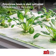 18 Hydroponics Using Polystyrene Ideas Hydroponics Polystyrene Aquaponics