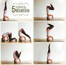 Pin By Leslie Tintle On Health And Fitness How To Do Yoga Yoga Fitness Online Yoga Classes