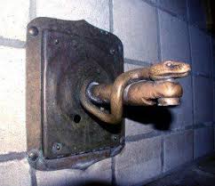 Zoo Hannover Gmbh Wasserhahn Schlange Gegossen Wasserhahn Hahnchen Schlange