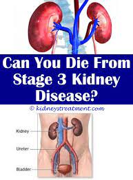 Renal Diet Side Dishes Kidney Disease Kidney Disease Stages Polycystic Kidney Disease