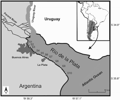 Image result for Websteria confervoides