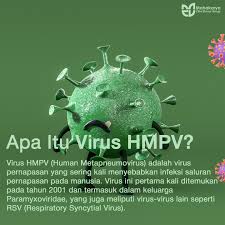 HMPV atau Human Metapneumovirus bisa menular lewat batuk dan bersin, jadi jangan lupa untuk selalu menjaga jarak dengan yang sakit. Lebih baik mencegah daripada mengobati! 🤧💪 #VirusPernapasan #HMPV #pencegahanvirushmpv