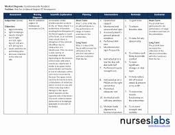 This video shows how to build a nursing care plan for acute pain www.carescribble.com. Pin On Lesson Plan Template Printables