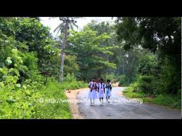 Maybe you would like to learn more about one of these? Ayanna Kiyanna Nanda Malani Sithar Instrumental By Greenbunting