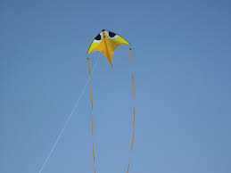 Makar sankranti Wishes shayari 2021 In Hindi